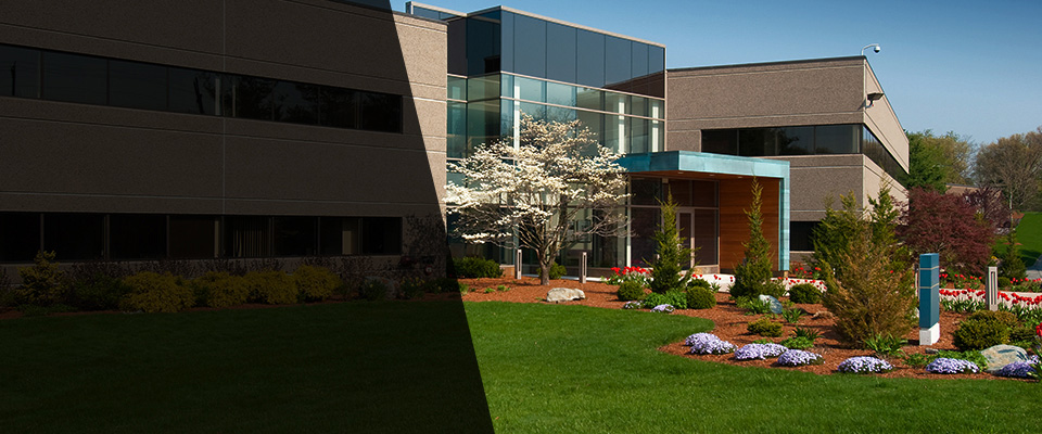 Park City Landscapers