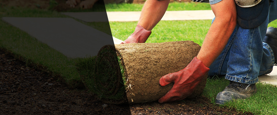 Park City Landscapers